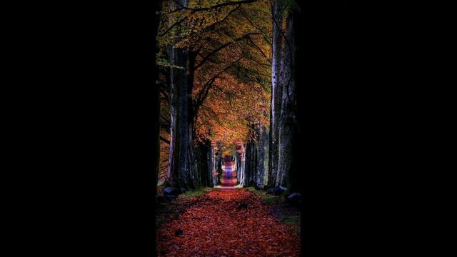 Новая грустная песня  Новая грустная музыка 2021  Это музыку ищет все. Эту песню ищет все  . Новая