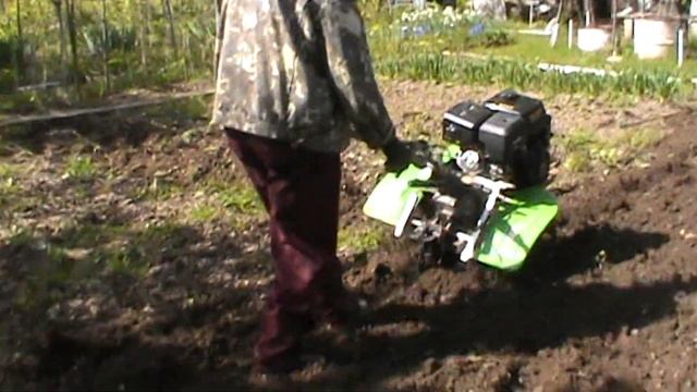 Мотоблок FORZA на огороде. ч.1. смотреть онлайн