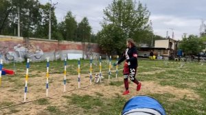 Марс. Аджилити. 11.07.23.