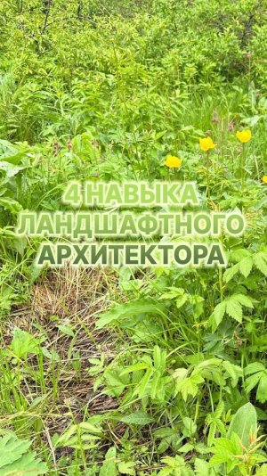 4 необычных навыка ландшафтного архитектора