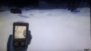 гайд по американскому беляку и добыт очень редкий зверь the Hunter classic