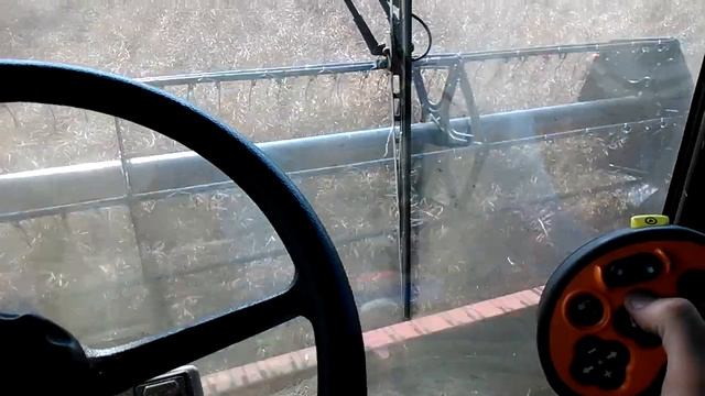 Case AFX 8010 - Rzepak