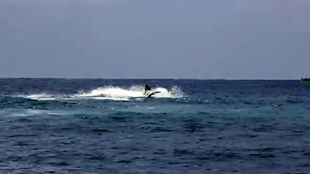 Сочи, 09 августа 2013 года смотреть онлайн