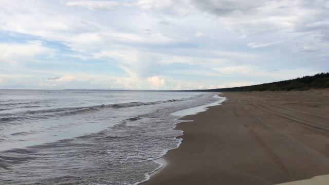 Финский залив