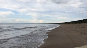 Финский залив