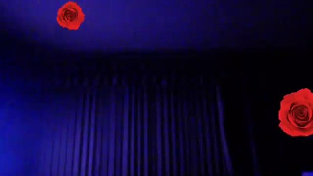 Fifi & Moo Moo x x x смотреть онлайн