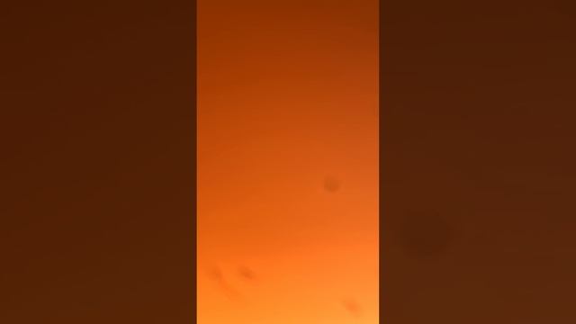 Билеты С.11 мощные напоминаю цена 800 а два 1600 смотреть онлайн