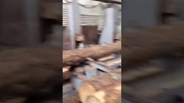 Таглеспром. Город Таганрог 16.06.2017 смотреть онлайн