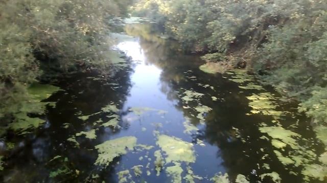 река Медведица