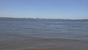 #Vlog Как правильно купаться без рук