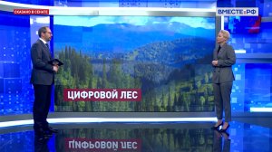 Цифровизация лесной промышленности. Татьяна Сахарова. Сказано в Сенате