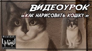 Видеоурок по рисованию "Как нарисовать кошку"