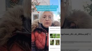 Предварительный отчет по самолету Баку-Грозный