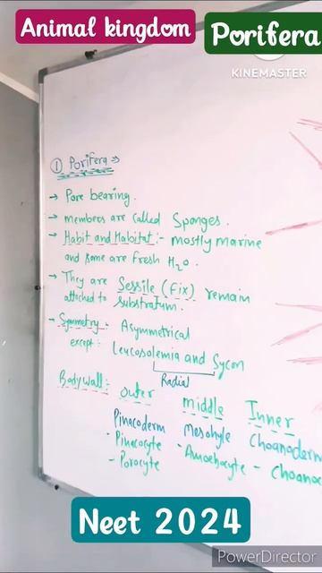 animal kingdom#phylum porifera#viral #trending #study #biology #shortsfeed #drsr