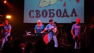 НОМ — Насекомые