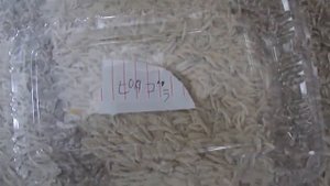 AidenTeamStream S3 Ep4 (Pythagora Switch's 22nd Birthday)