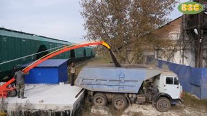 Разгрузка рапса из вагона-хоппера. РВХ-90. Липецкая обл.