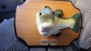 Поющая рыба Big Mouth Billy Bass