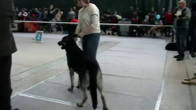 Брюс смотреть онлайн