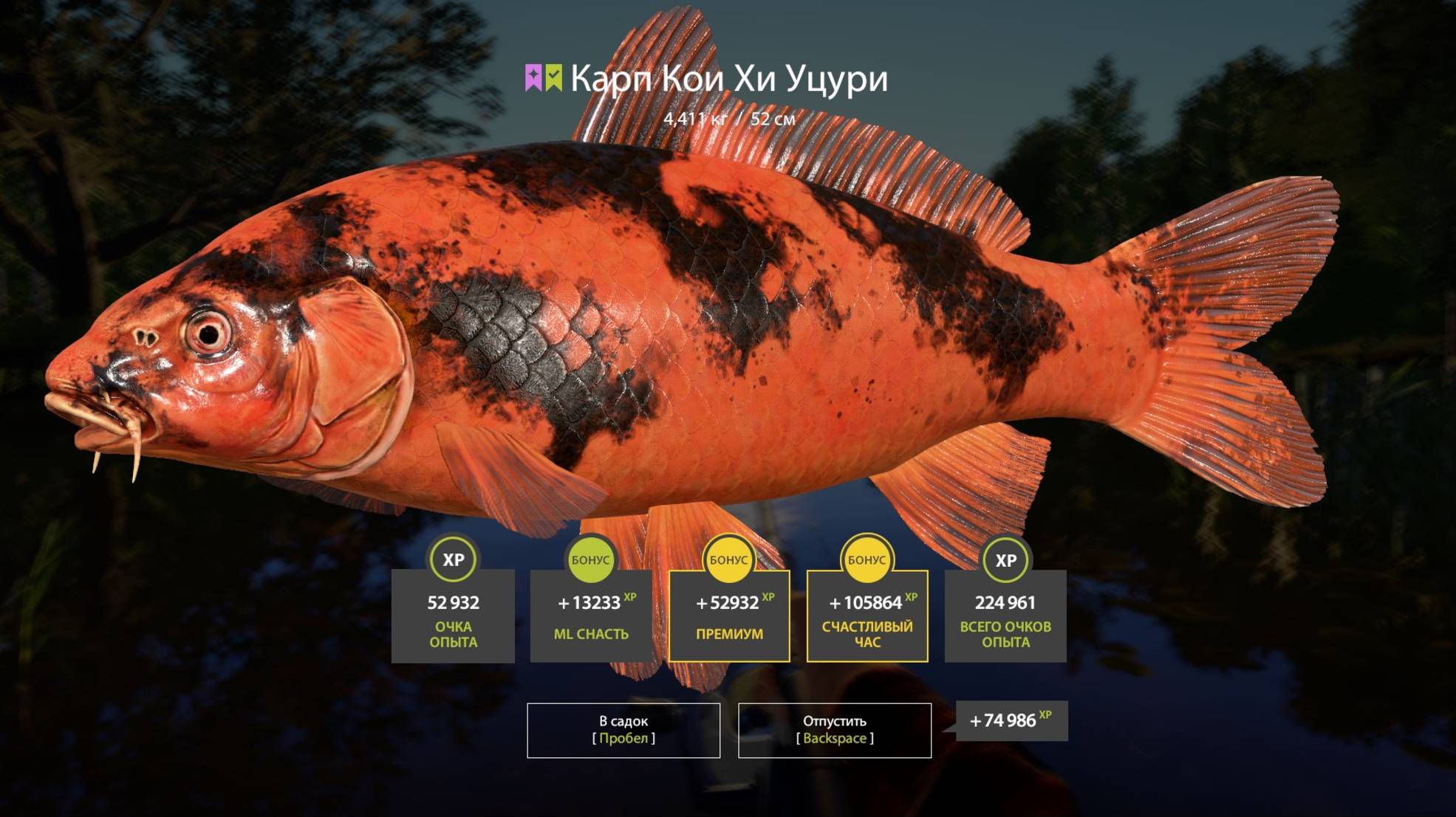 РАЗДАЧА ЦВЕТНЫХ КАРПОВ КОИ НА МЕДНОМ ПРОДОЛЖАЕТСЯ? РУССКАЯ РЫБАЛКА 4 РР4