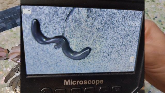 Как не потерять цепочку на пляже смотреть онлайн