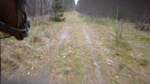 Галоп на советском тяжеловозе