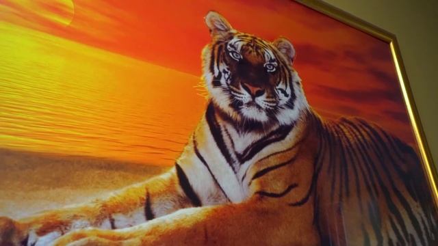 S17E08: Check Please Momotaro / Goree Cuisine / Johnny's Grill 1/19/2018 смотреть онлайн