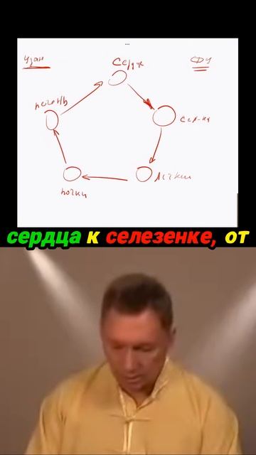 Круг жизни в нашем организме