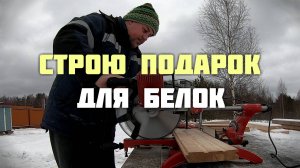 Строю подарок для белок