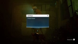 Док вернулся домой // Stray