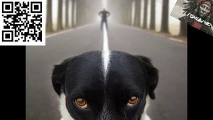 От накуренных для накуренных #896 (Гонцы 420) ЧИТАЙ ОПИСАНИЕ!!!✌🤓 Музыка 2021 music Лучшее ХИТЫ