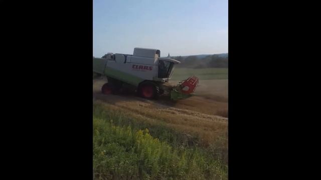 Claas Lexion 450 смотреть онлайн