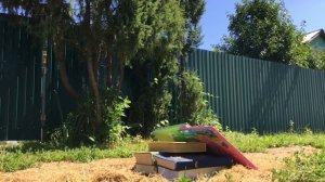 Машина на пульте управления Traxxas slash