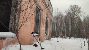 Первый зимний выезд с подписчиком на металлокоп!!! Нашли в лесу заброшенное здание спецсвязи!!!