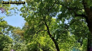 Пять женских имен, притягивающих к себе деньги и достаток