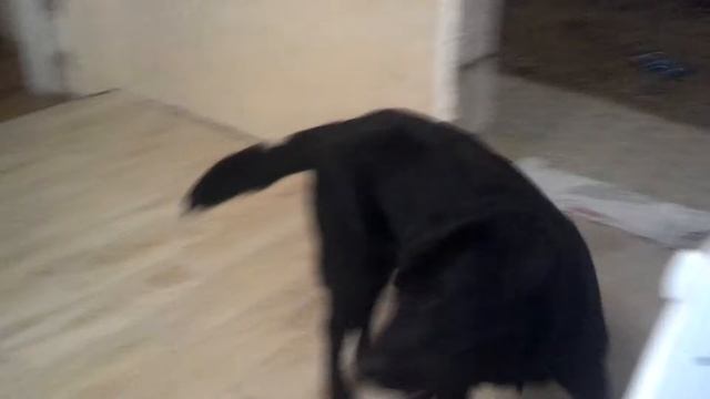 Лабрики смотреть онлайн