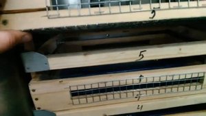 Инкубатор по чертежам NBF, закончил сборку инкубатора, 5 часть