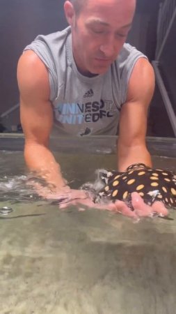 Holding a MASSIVE Black Diamond Stingray….