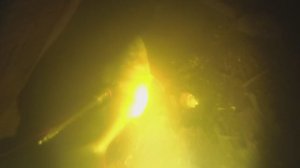 Много рыбы, отличная подводная охота на АЭС.