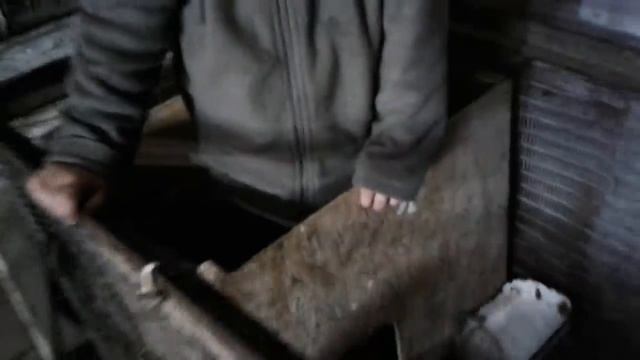 Малой в гостях у кролика🐰 смотреть онлайн