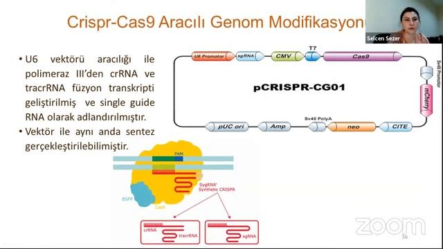 İSTE-TTO Teknoloji Sohbetleri- Genetiği Değiştirilmiş Süper İnsan Çağı