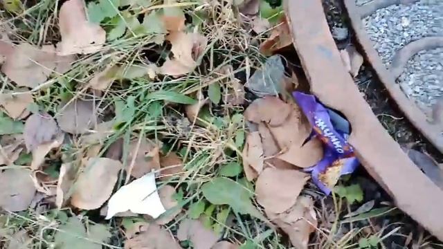 Взрываем петарды с папой смотреть онлайн