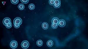 ▽ Как появился человек Гипотезы возникновения человека