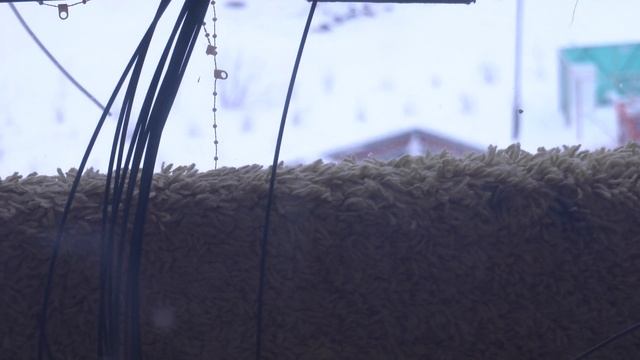 4 ноября 2021 г.