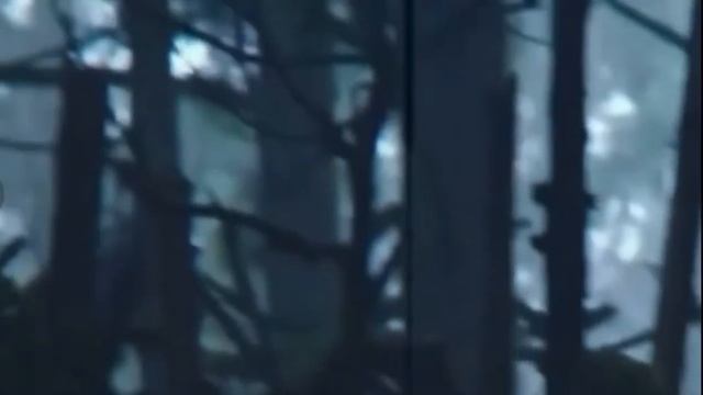 WAR Planet of Apes смотреть онлайн