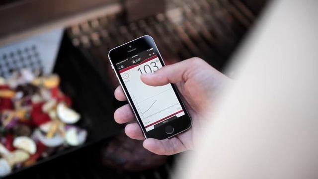 iDevices Kitchen iGrill2 Grilling Thermometer