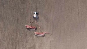 Сев озимой пшеницы, август 2016