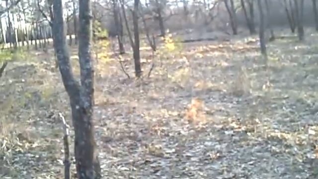 Камышин и Гера смотреть онлайн