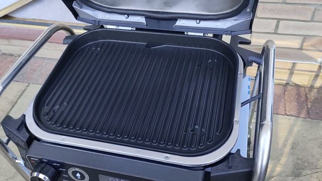 Ninja Woodfire Grill  Chicken Sizzlers