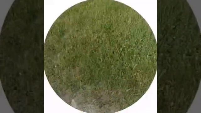 сериал мира и люда. 1 сезон. продолжение на 10 лайков😘💋 смотреть онлайн